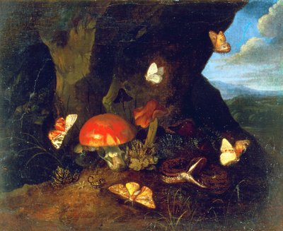 Undergrowth and Wildlife by Otto Marseus  van Schrieck